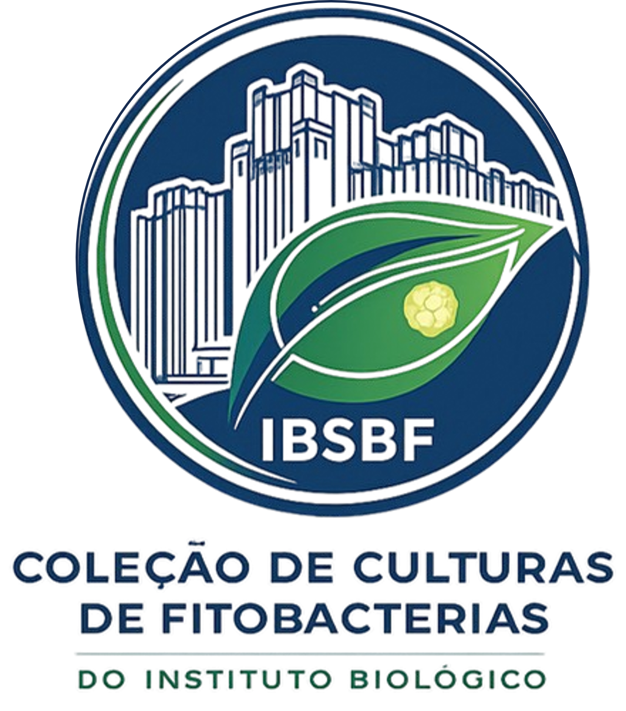 colecaoibsbf ib sp